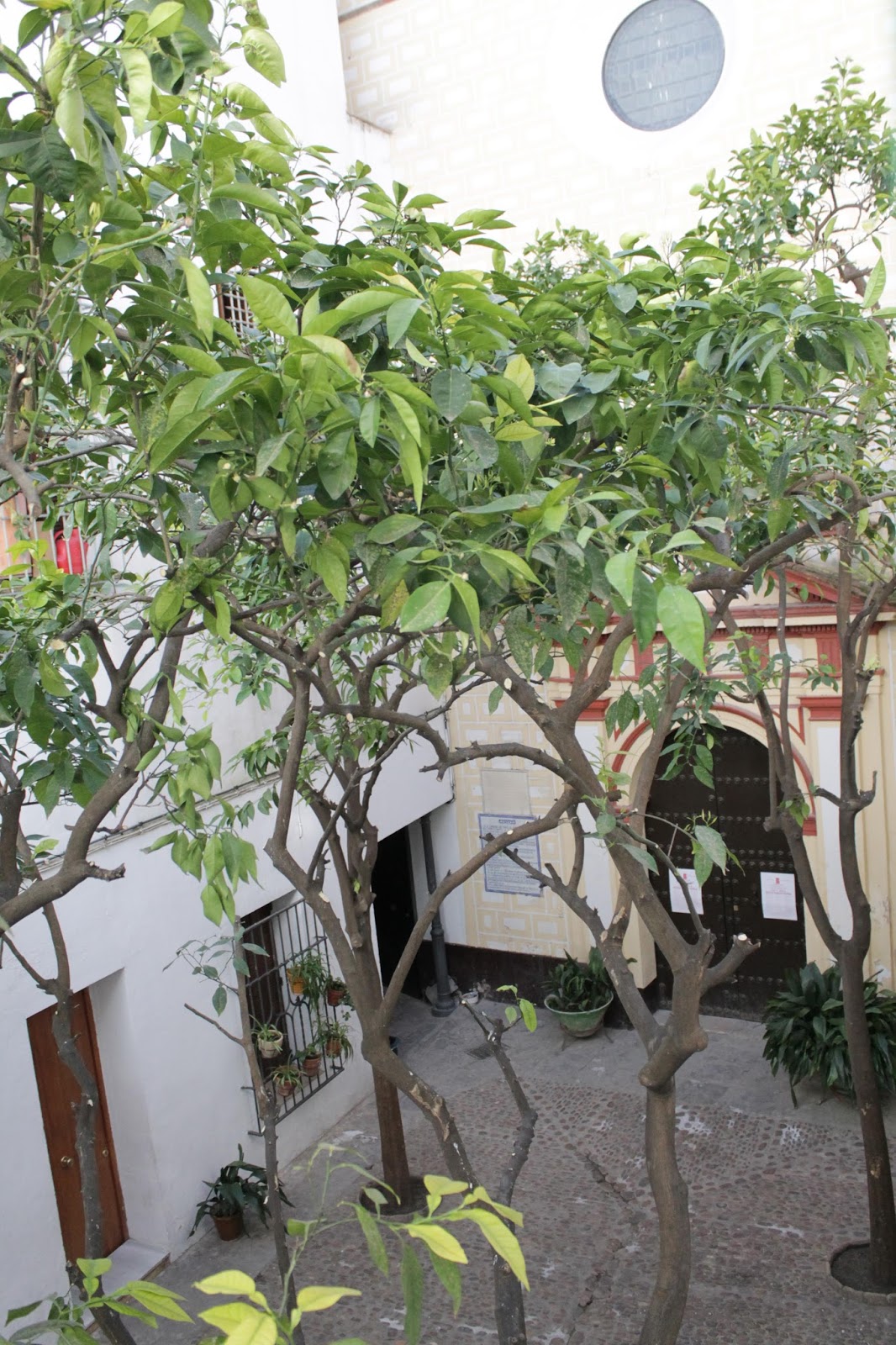 Perpectiva de la Plaza desde el Colegio San Isidoro