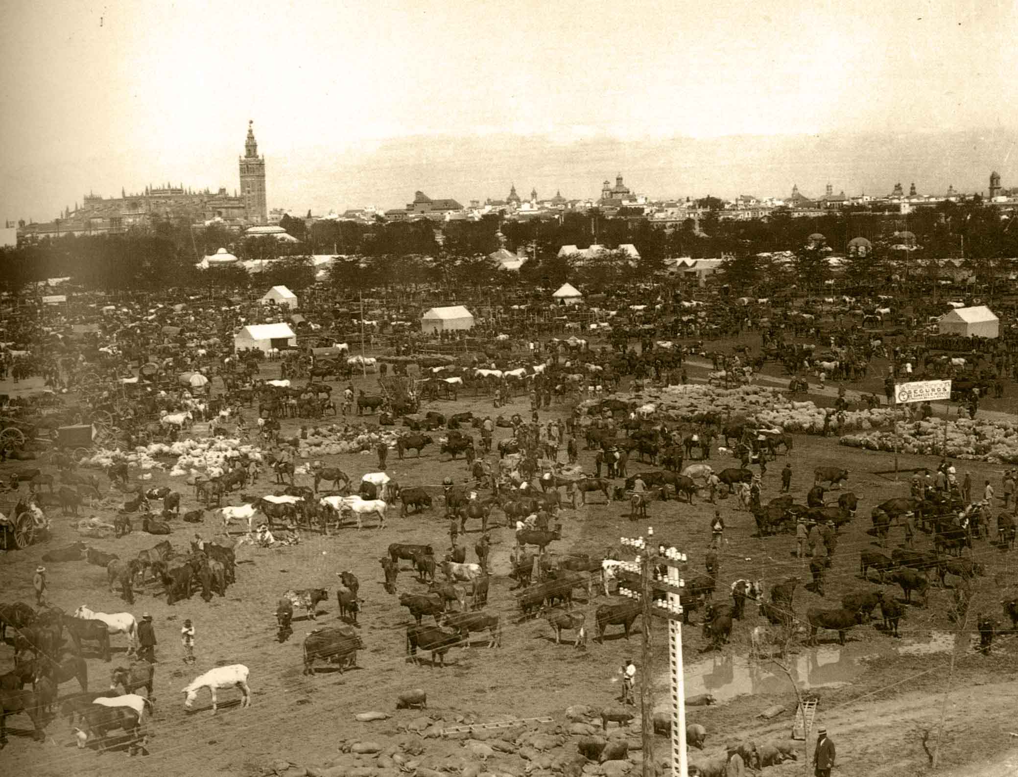 Foto-Prado-Serrano-1915