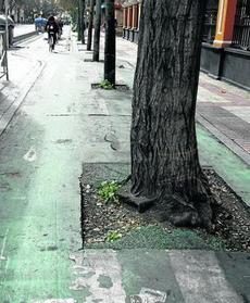 carrilbici1